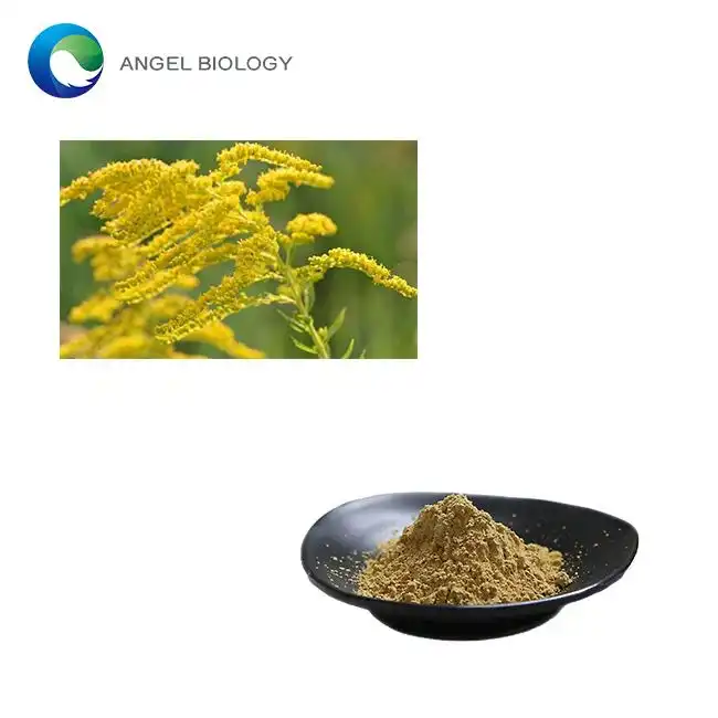 Is Goldenrod Extract Powder the Key to Better Kidney Health?